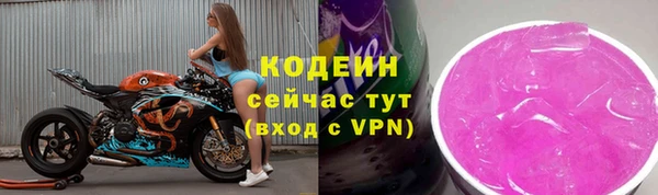 шишки Белоозёрский