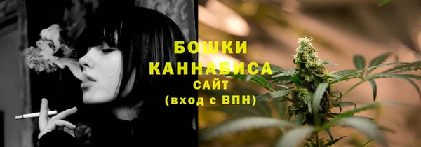дмт Богородицк