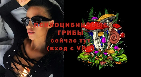 метамфетамин Богданович