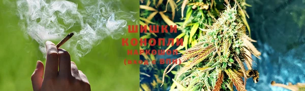 дмт Богородицк